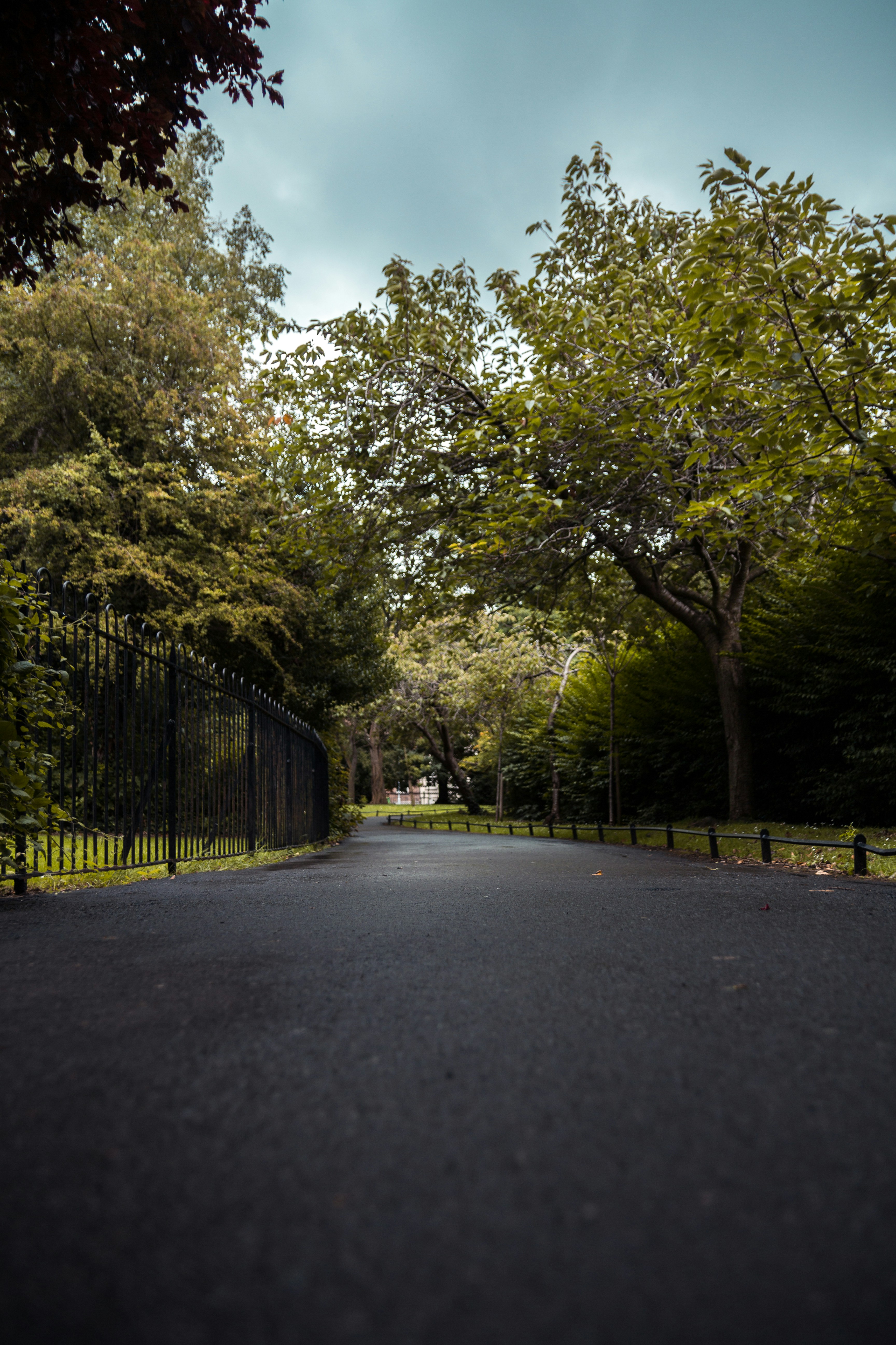 Professional asphalt driveway in Brandon MS